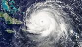irma
