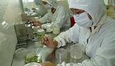 Loom large in life sciences