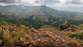 swazi